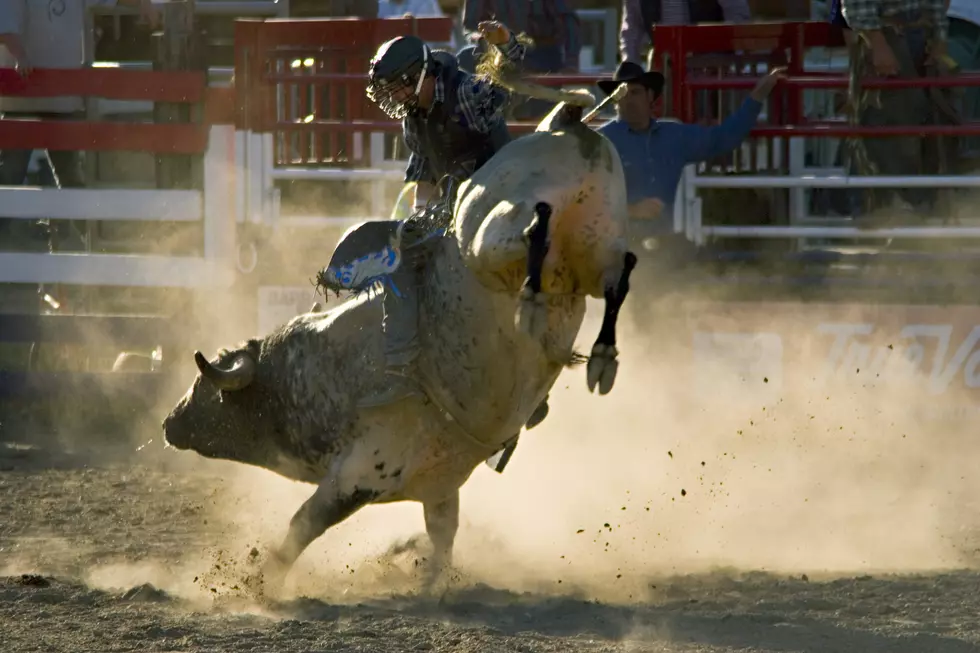 Experience Some Bull Bucking Action! The PBR is Back in Amarillo